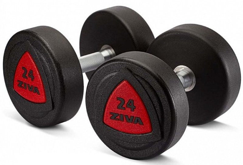 ZVO Urethane Dumbbell, Red, different weights, pairs