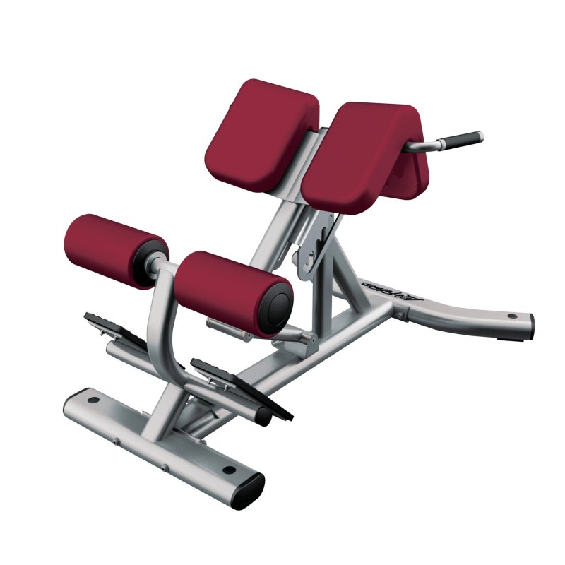 Life Fitness Back Extension Bench