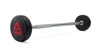 ZVO stienis ar fiksēto svaru