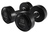 Gumojotu hanteļu komplekts ZVO Ziva 52-60 kg (kopā 10gb / 560kg)