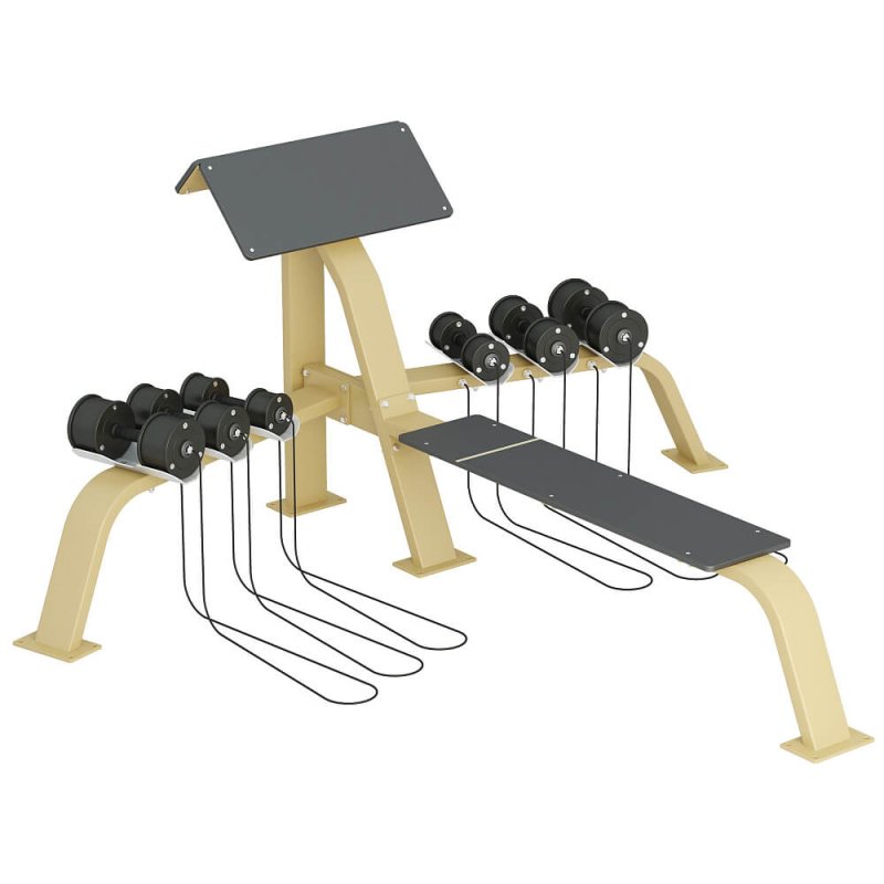 Scott Bench with dumbbells and bench, InterAtletika